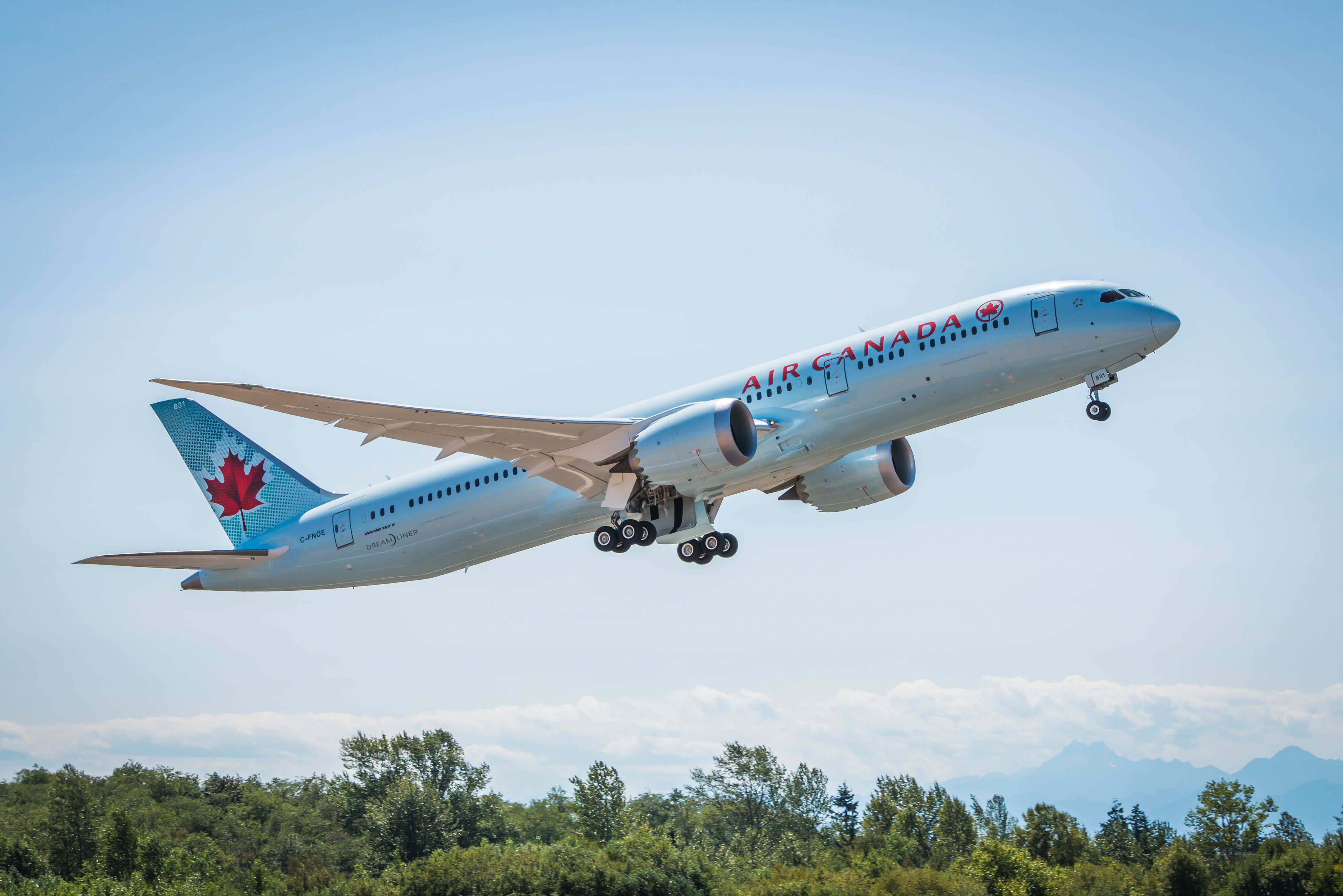 B787_9_takeoff2.jpg