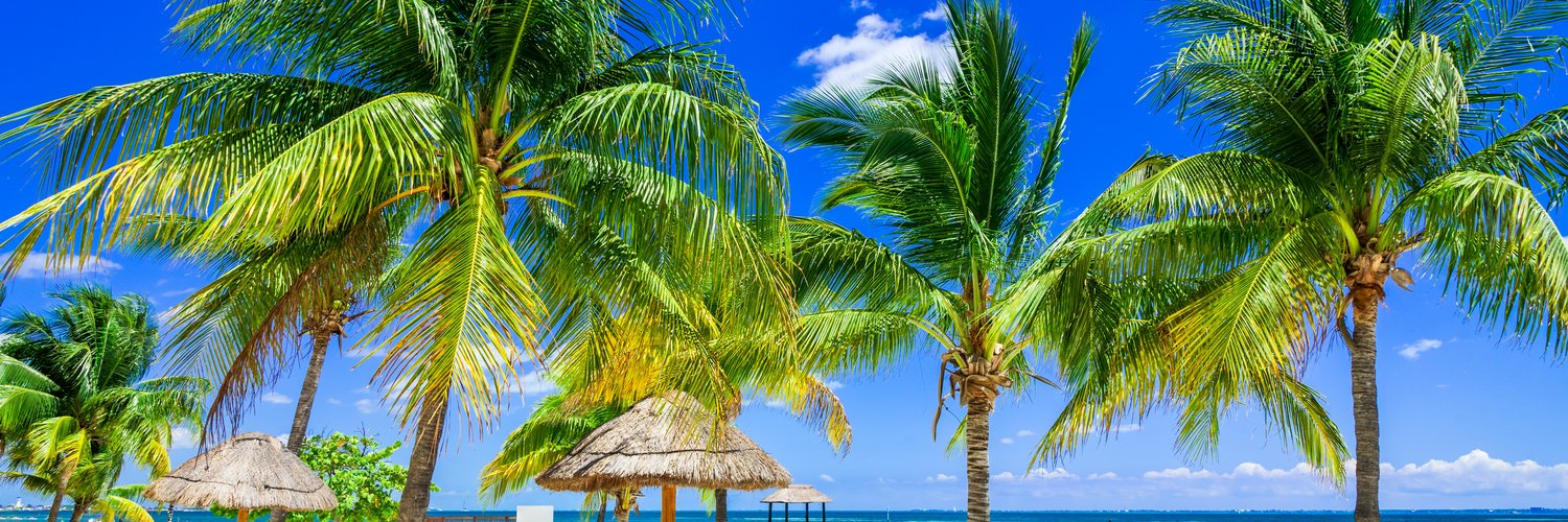 Give wings to your dreams of Canadian winter