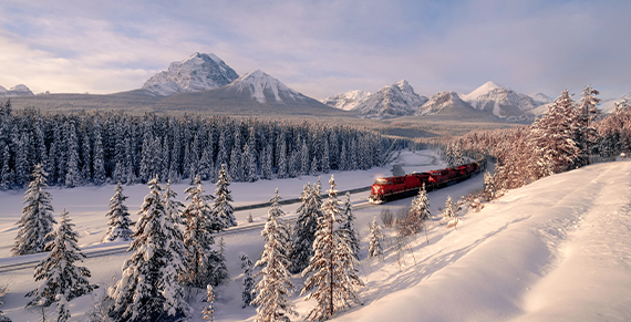 Feel the winter magic in Toronto