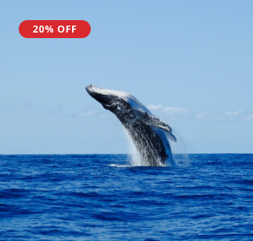 Solde Escapade hivernale