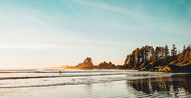 Marvel at the wonders of the ocean