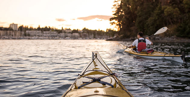 Adventure from waves to woods