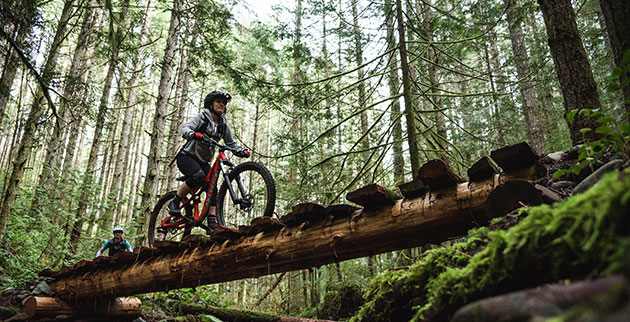 Wander the lush green woods