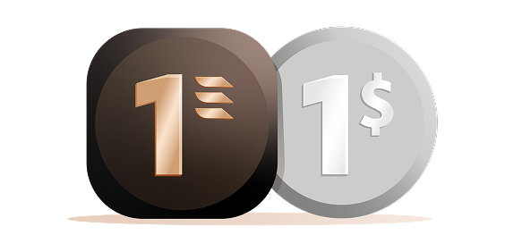 Partner Airlines Icon