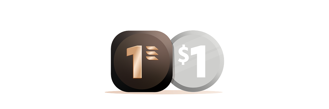 Partner Airlines Icon