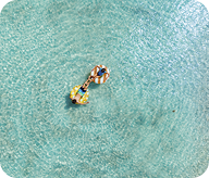 Florida activities image