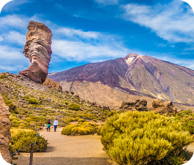 Tenerife nature image