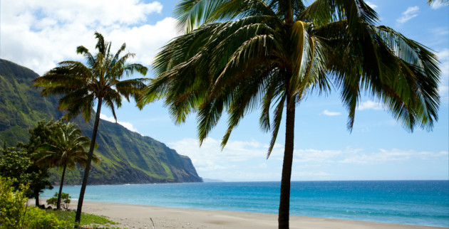 Winter Wonderland Alberta