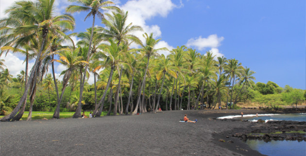 Winter Wonderland Alberta