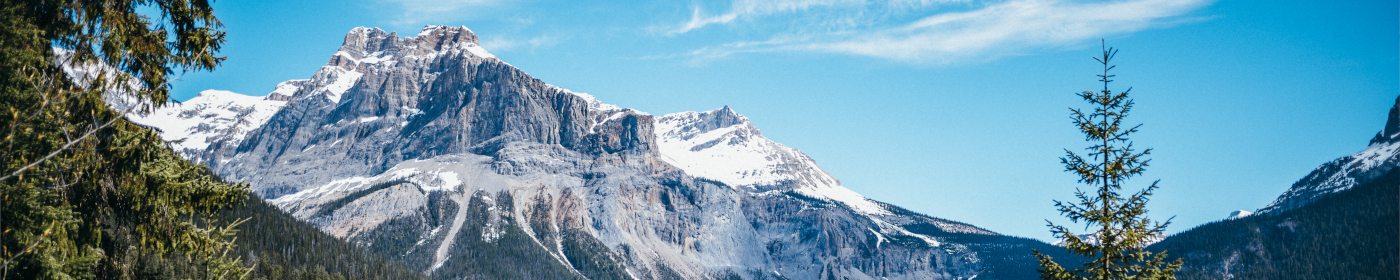 Daily non-stop to Alberta