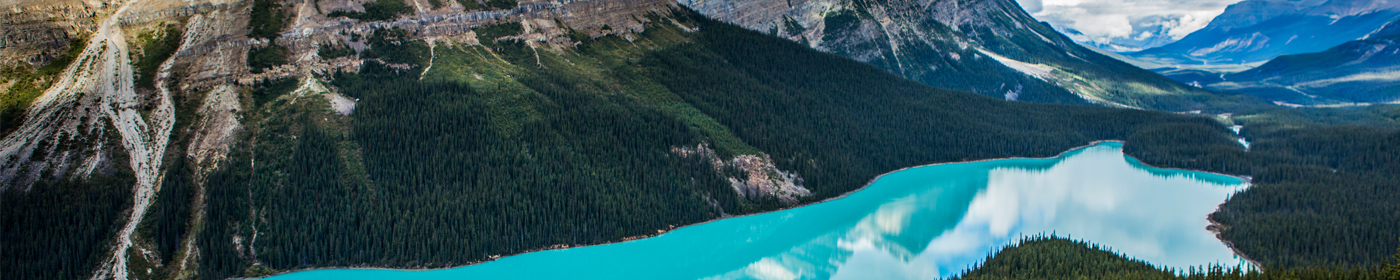 Escompte Coupe du Monde 2018