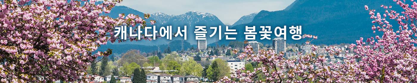 캐나다에서 즐기는 봄꽃여행