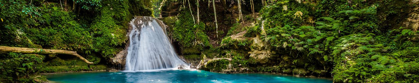 Envolez-vous au départ de Paris Charles de Gaulle pour Kingston, Jamaïque