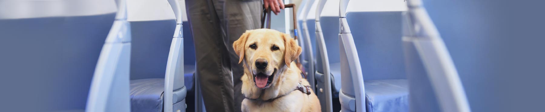 Air Canada - Service Animals