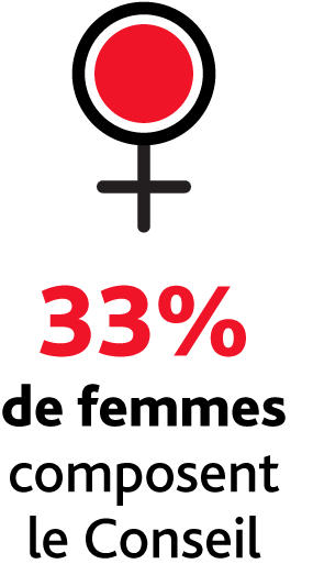 33% of board are women infographic