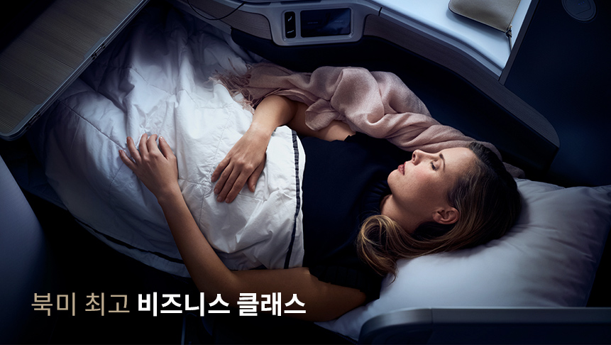 Dreamliner - Business Class