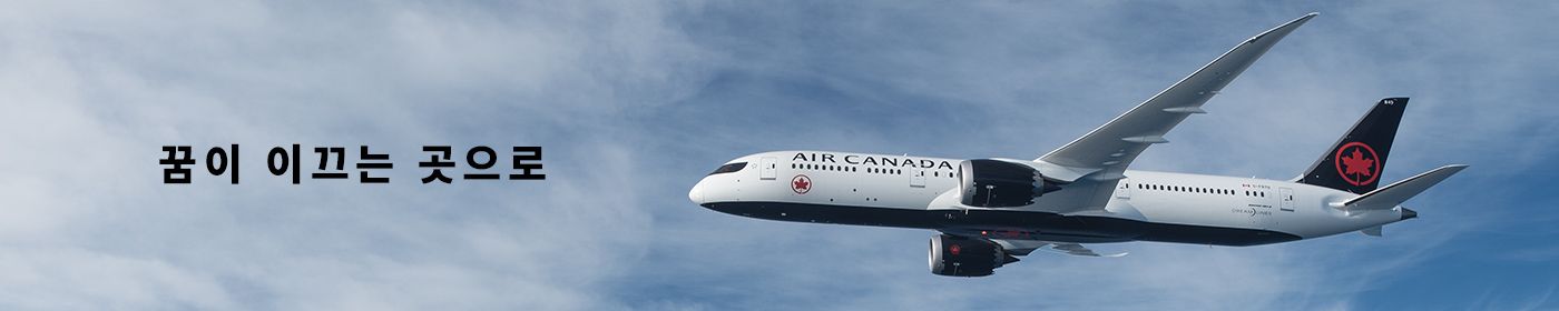 꿈이 이끄는 곳으로