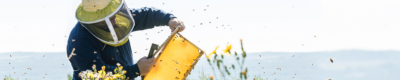 World Wildlife Day: Air Canada continues work towards overall ecosystem conservation and giving back to nature 