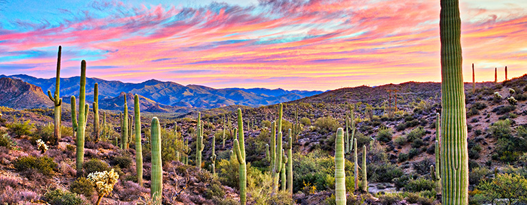 Arizona