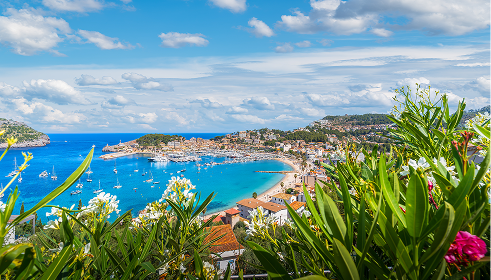 Non stop flights icon