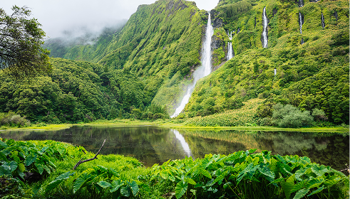 Non stop flights icon