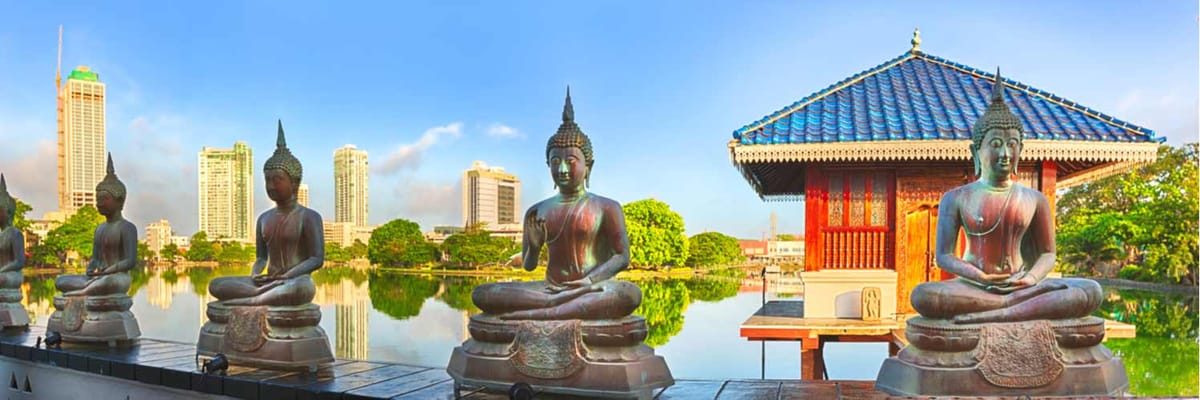 Book flights from Toronto (YYZ) to Colombo (CMB) | Air Canada