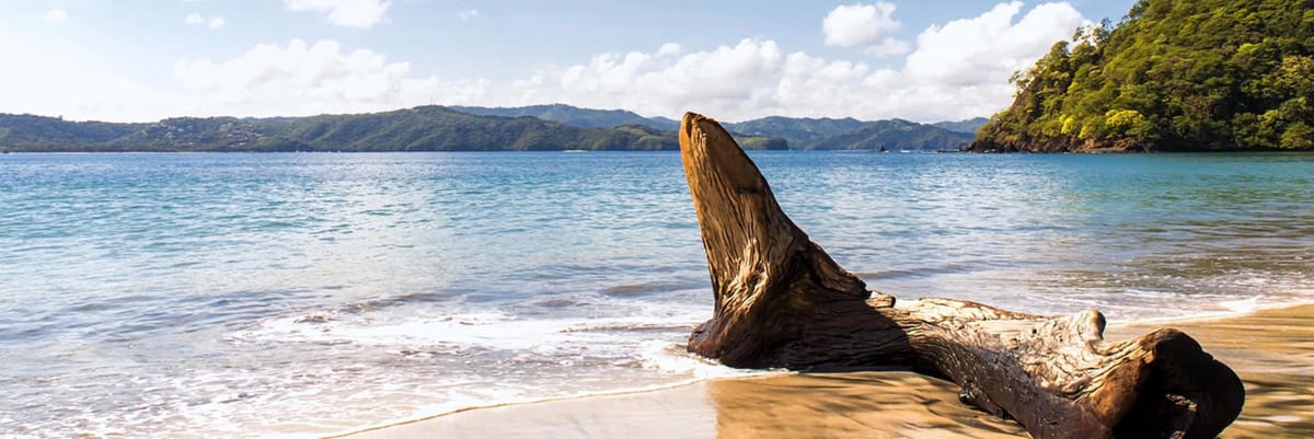 Voyagez avec Air Canada de Calgary vers Liberia, Costa Rica (YYC - LIR) {price_modifier} à partir de **Flights.FromLowestPrice**