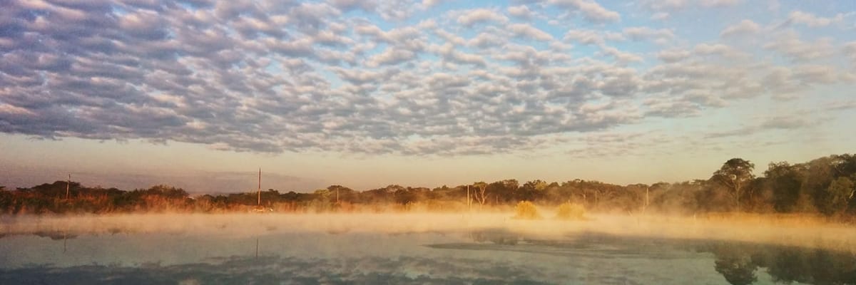 Book flights from Toronto (YTO) to Ndola (NLA) | Air Canada