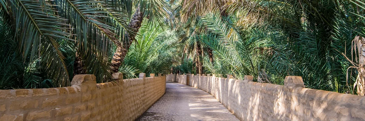 Voyagez avec Air Canada de Catane vers Phoenix (CTA - PHX) {price_modifier} à partir de **Flights.FromLowestPrice**