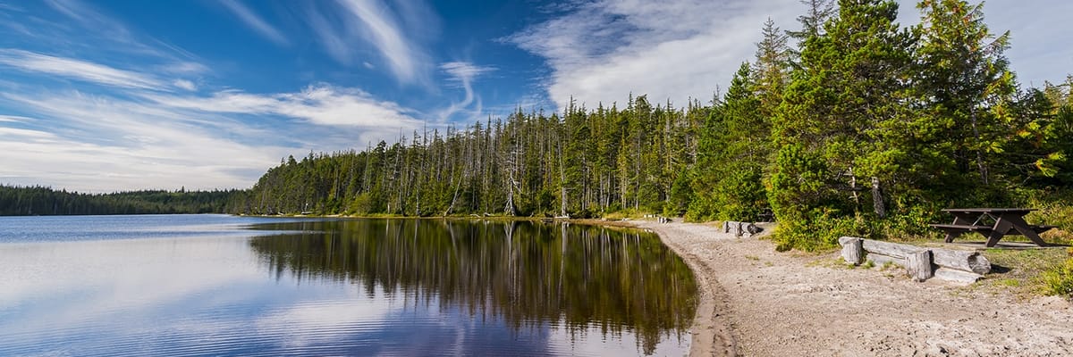 Réservez des vols avec Air Canada vers Sandspit (YZP)