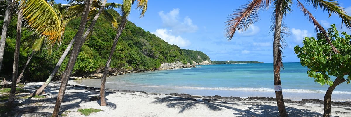 Book Air Canada flights to Guadeloupe | Air Canada